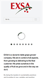 Mobile Screenshot of exsa.com